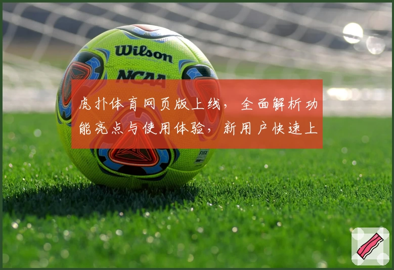 虎扑体育网页版上线，全面解析功能亮点与使用体验，新用户快速上手指南