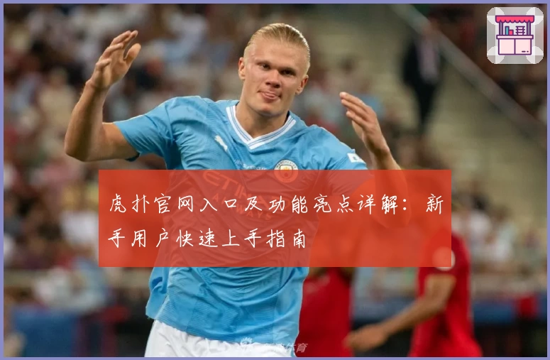 虎扑官网入口及功能亮点详解：新手用户快速上手指南